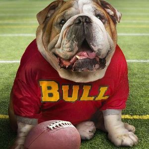 Meet your Posher, Soung ho